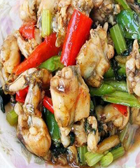 ӣ�Ұٺϵ�����