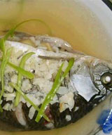 ɰ�ʸʲ������������