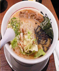 ɽҩ�������