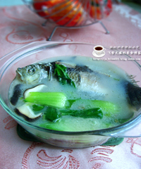 �²�������������