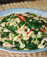 �²˳���Ϻ������