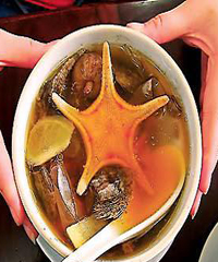 ����ȸ������