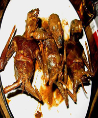 ������ȸ������