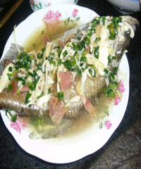 �������������