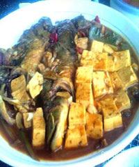 ơ�������������