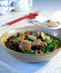 �²˳����˵�����