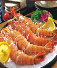 ��֭����Ϻ������