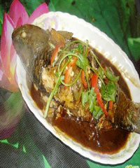 �������������