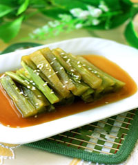 ���ƹϵ�����