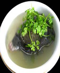 ��������Բ������