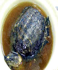 ��������������