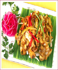 �躣�ݵ�����