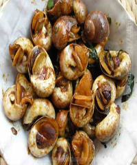 �������ݵ�����