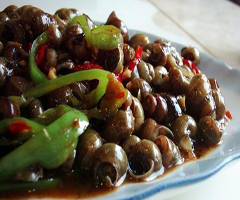 ���ѳ��ݶ�������