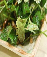 �Ͱ���˵�����