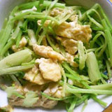 �۲˳�����������