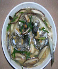 ����������ͷ������