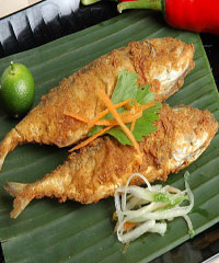 �ɼ��������