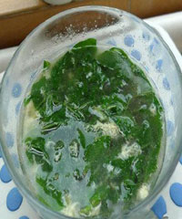 ���Ҷ������������