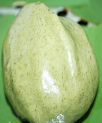 ���������������