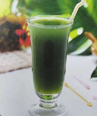 ����Ҷ֭������