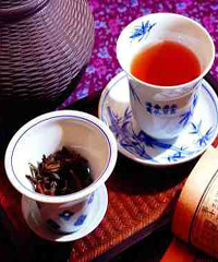 �عϸ���������