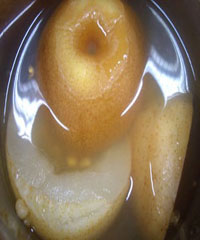 ѩ����������