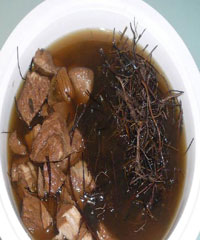 ���ǲ�������������