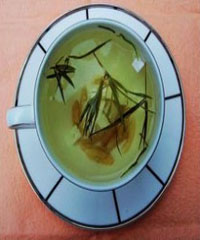 ��Ҷ�������