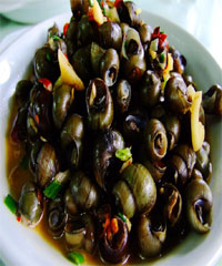 �������ϵ�����