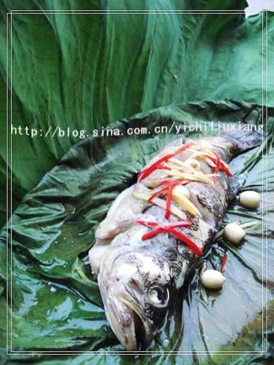 ����������������������-�������ʣ�