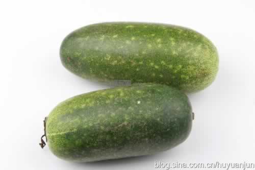 ������������ڹϵ�������������-����ʳ��������