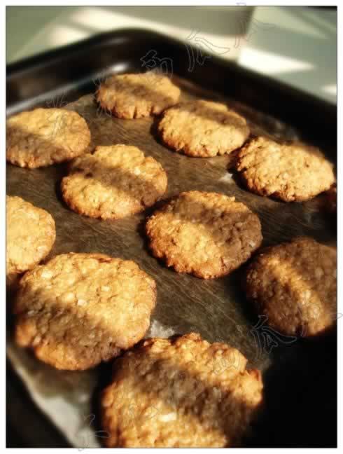 ����������������Ͳ��ף�