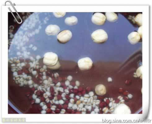 �춹޲�����Ӱٺϵ����������ղ����ٵ����������ࣩ