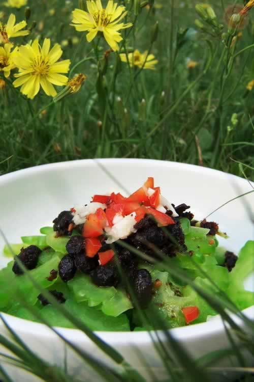 ������ϵ��������ز�-ȥ��������