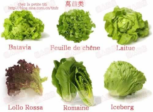 ������˹ɳ��������������ʳ�ף�