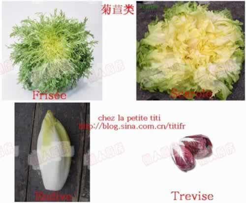 ������˹ɳ��������������ʳ�ף�