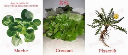 ������˹ɳ��������������ʳ�ף�