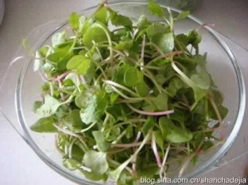 �����ܲ���������������-������ʣ�