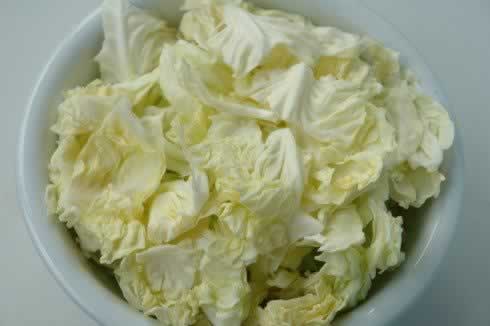 ��͸����˵��������������ļ����ɲ��Եļ���ʥƷ��