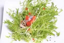 ���±����ɳ���������������ʲˣ�