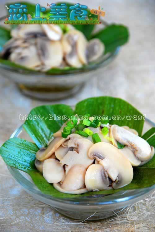 �����Ģ��������������������֥�ļ��������߲ˣ�