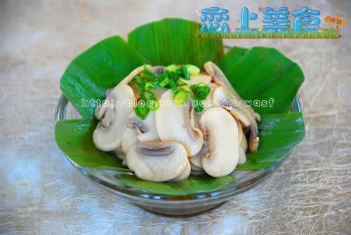 �����Ģ��������������������֥�ļ��������߲ˣ�