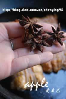 ���Ѭ��Ѽ�����������ʡ���ˡ���