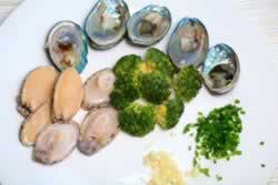 ������С��������������ʲ�����ɫ��