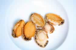 ������С��������������ʲ�����ɫ��