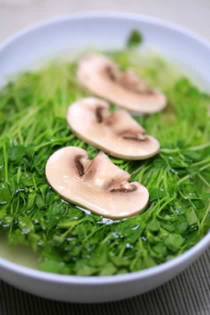 ����Ģ���������������ʲˣ�