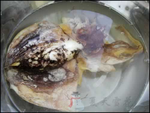 ī�������ǵ���������ϴ�������ţ�