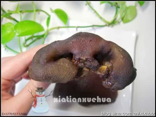 �˸ɳ������ǵ�������������ɫ�ˣ�