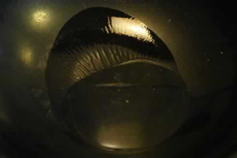 ��˶������������岽����һ��������Ĵ�С�ԣ�